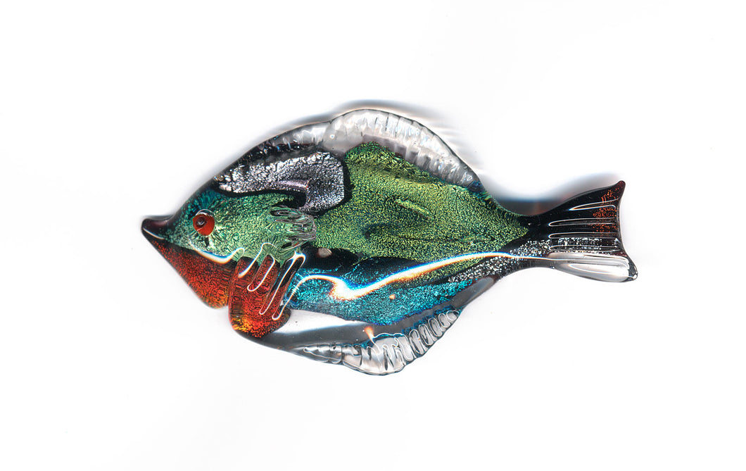 Magneti in Vetro di Murano|Pesce Esotico